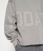 Lade das Bild in den Galerie-Viewer, 10DAYS - statement hoodie logo patch
